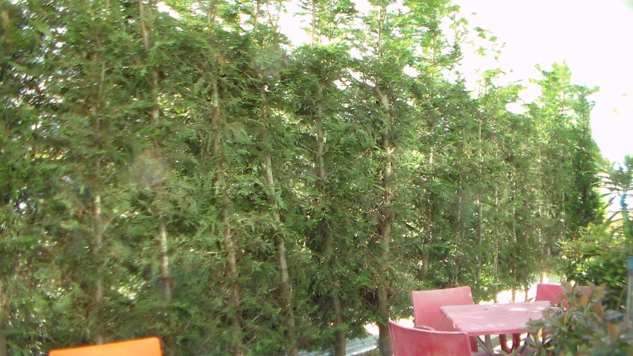 Shkoder Hotel Temali Bagian luar foto